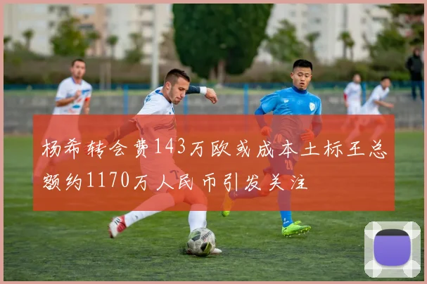 杨希转会费143万欧或成本土标王总额约1170万人民币引发关注